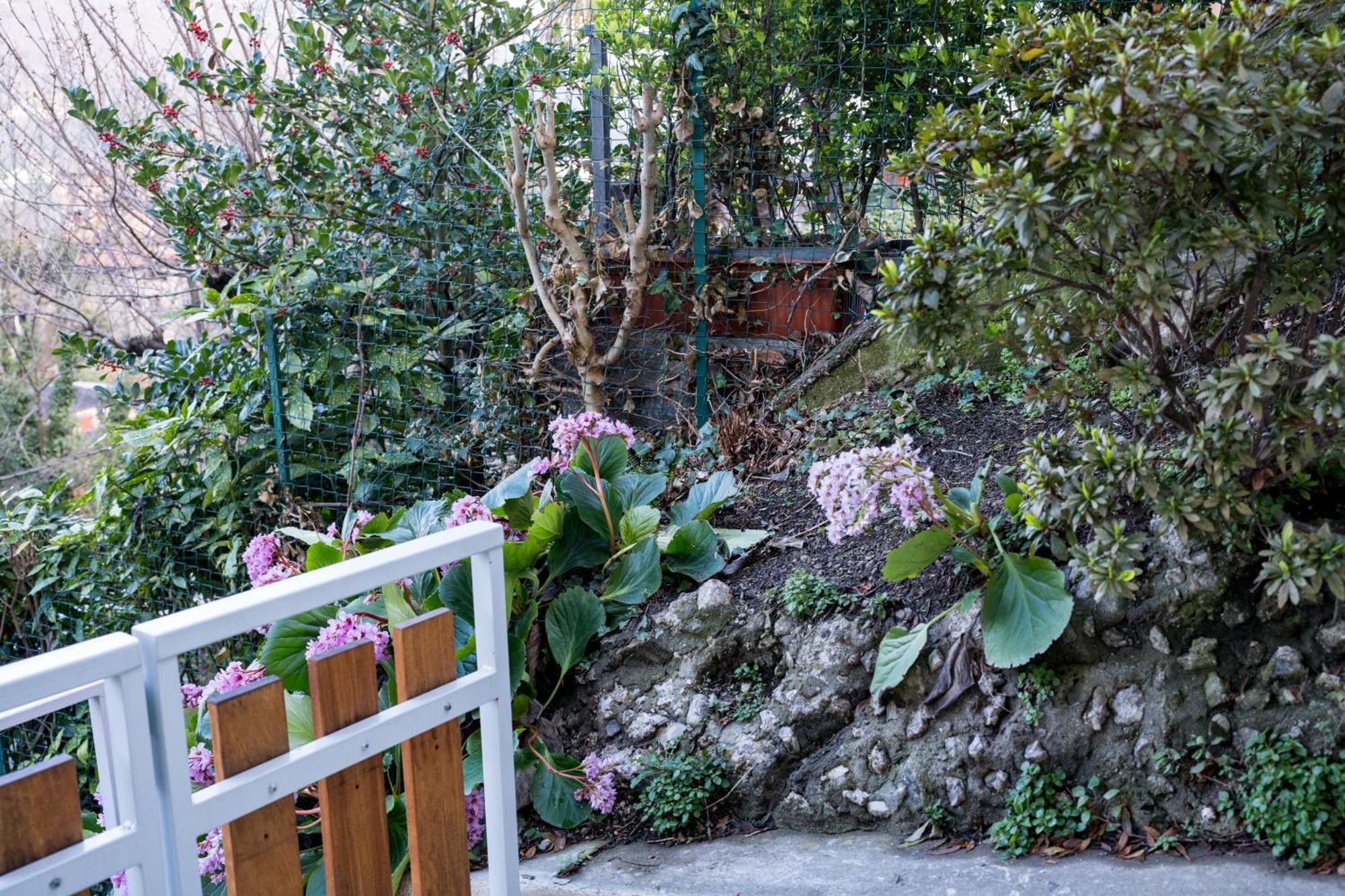 Residence Villa Eli Como Dış mekan fotoğraf